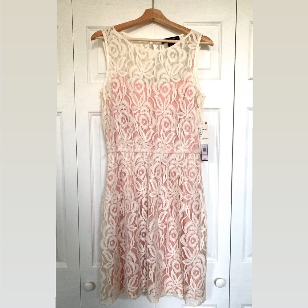 Pink and cream Femme Lace Dress NWT